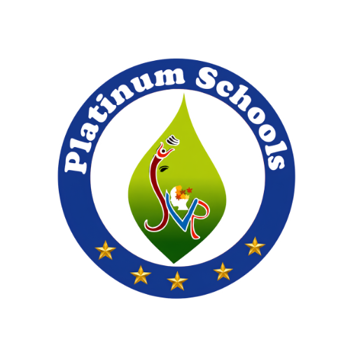 Platinum Schools SVR Logo